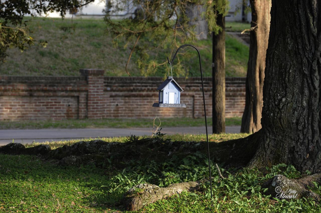 Clermont Bluffs Bed & Breakfast Natchez Εξωτερικό φωτογραφία
