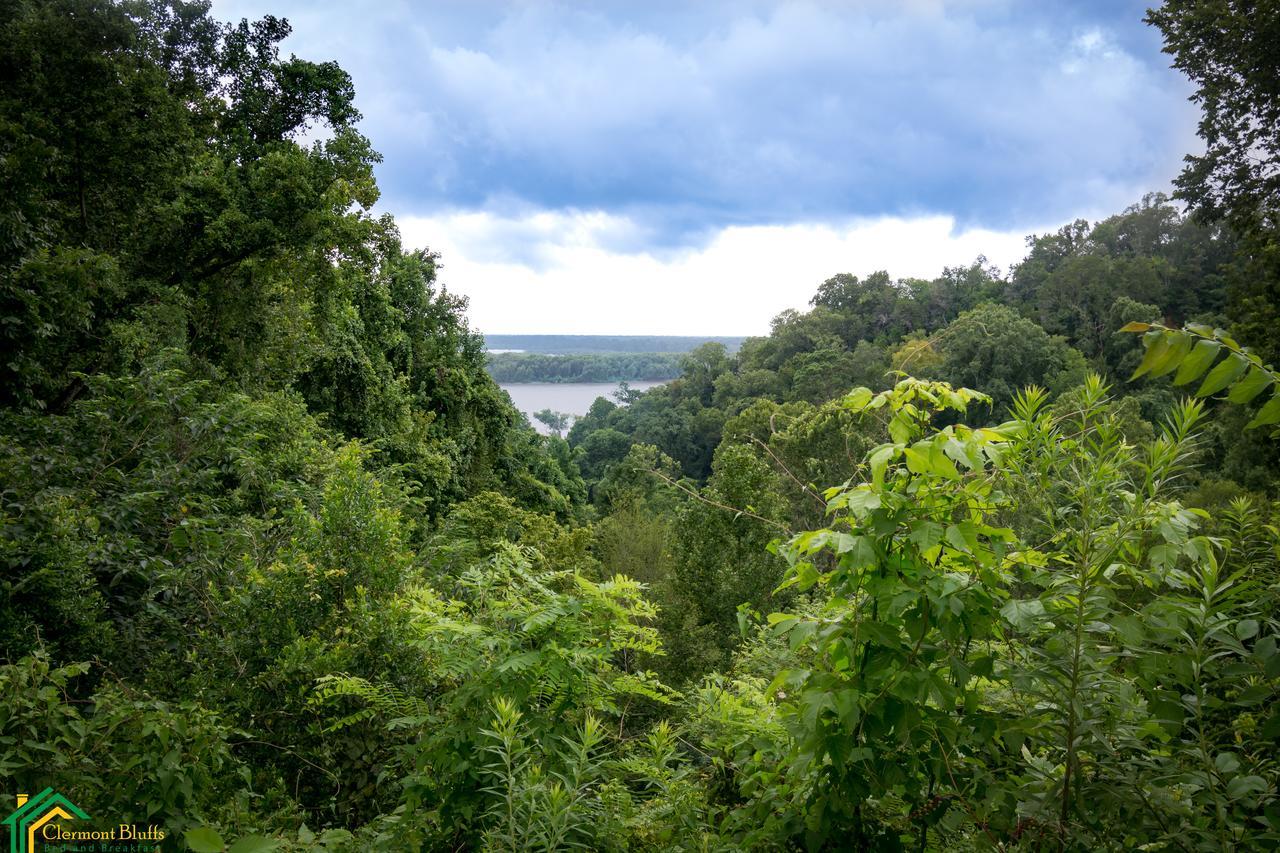 Clermont Bluffs Bed & Breakfast Natchez Εξωτερικό φωτογραφία